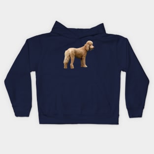 Apricot Poodle Kids Hoodie